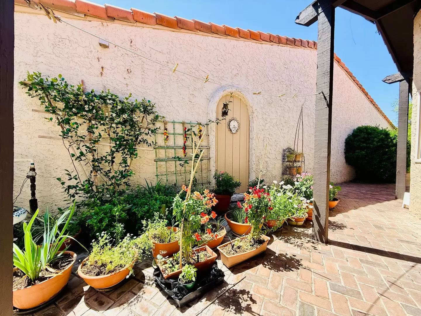 Property Image 46
