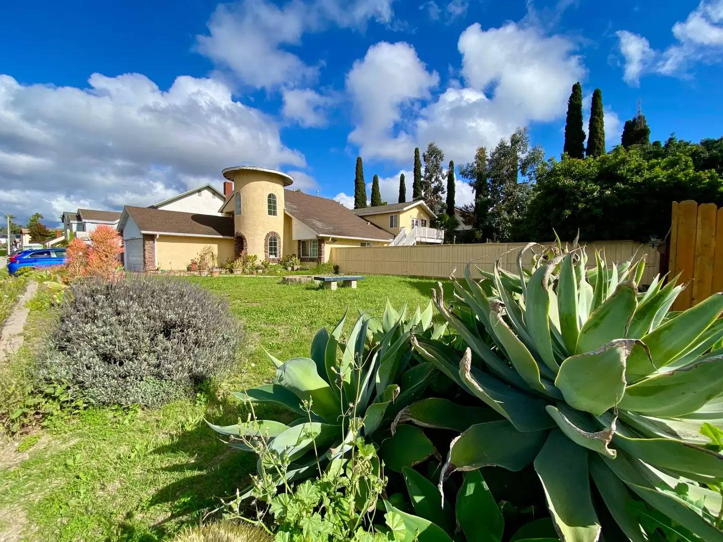 Property Image 41