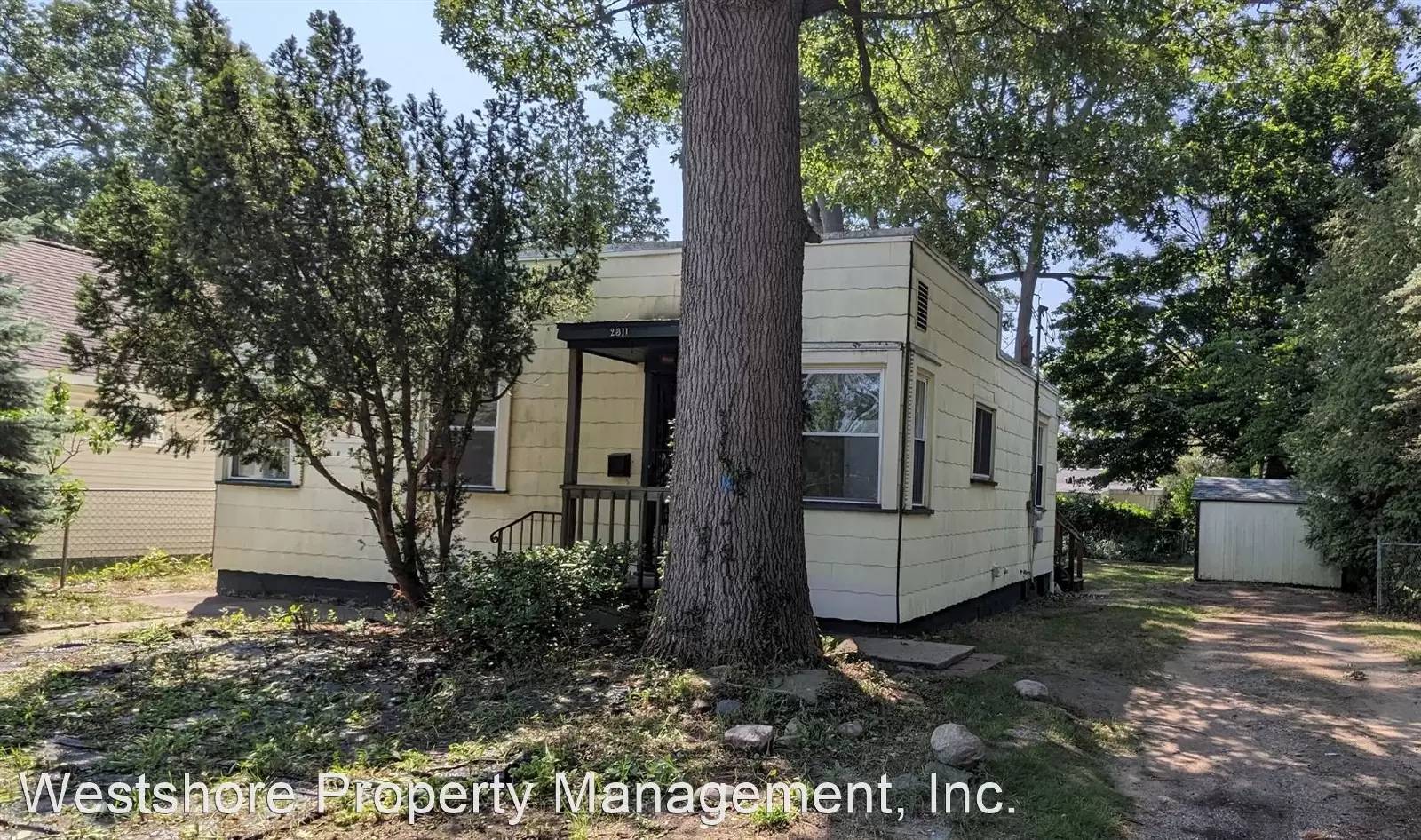 cover background