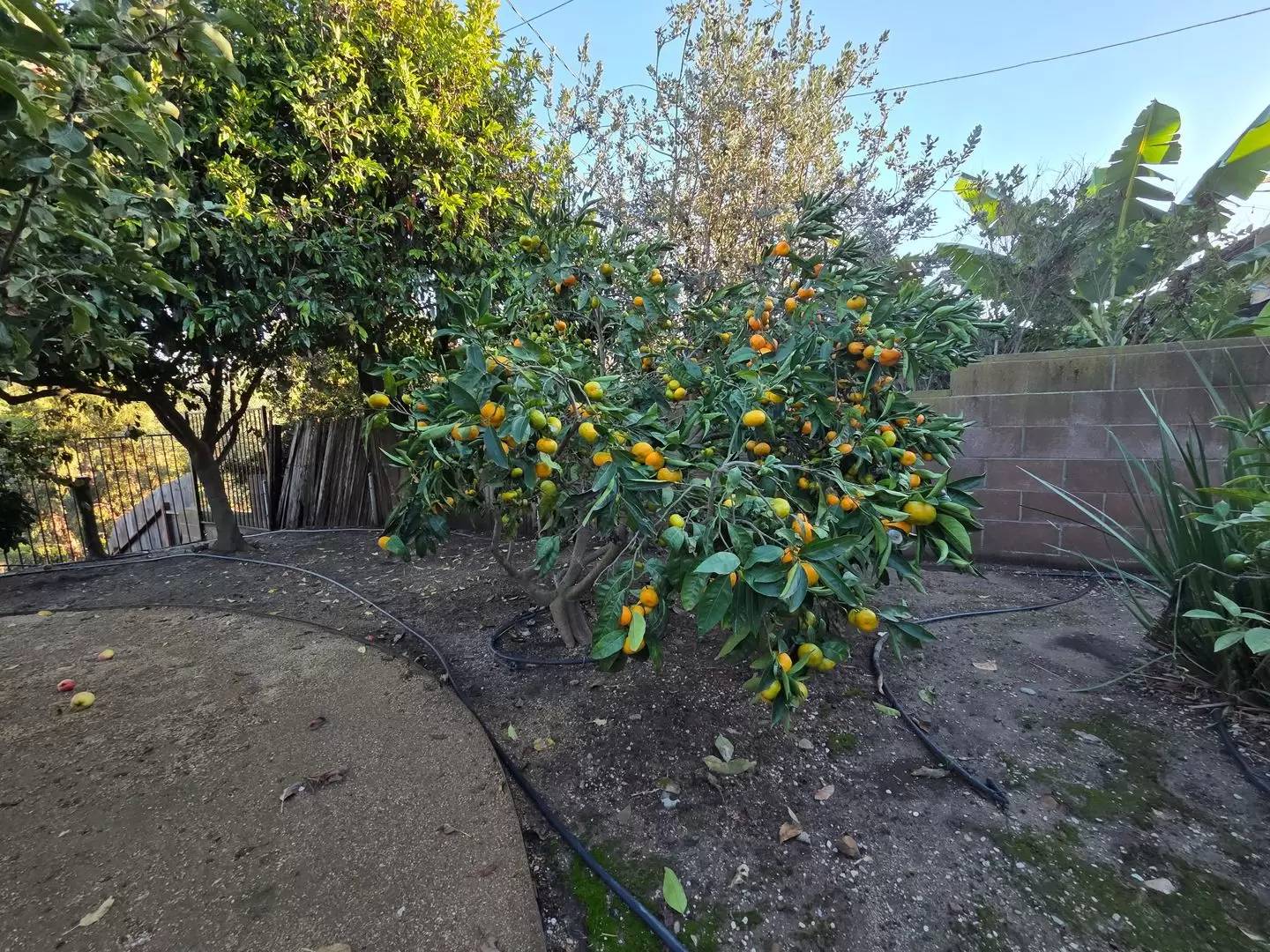 Property Image 41
