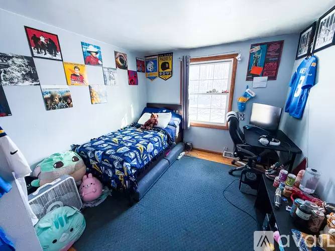 Property Image 16