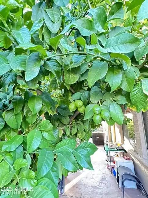 Property Image 82