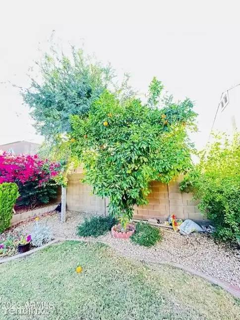 Property Image 51