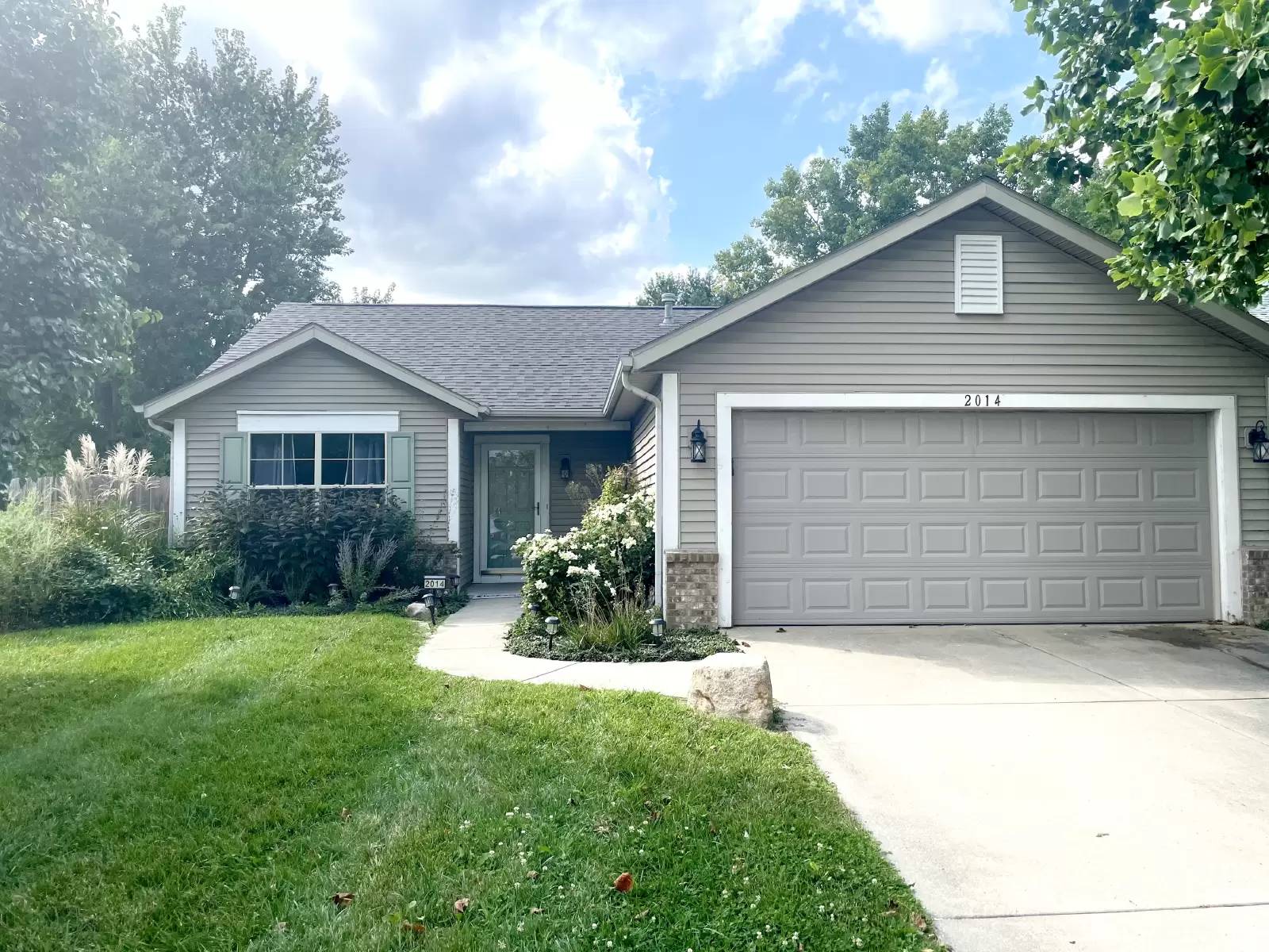 cover background