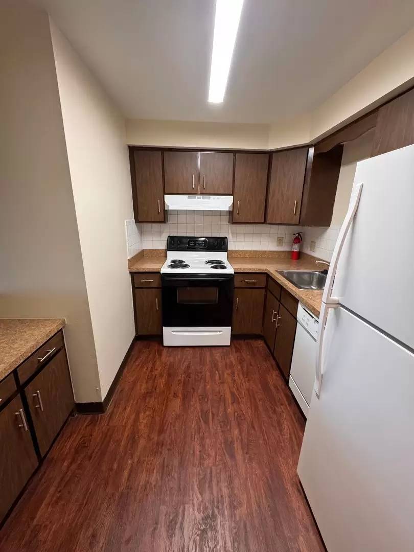 cover background