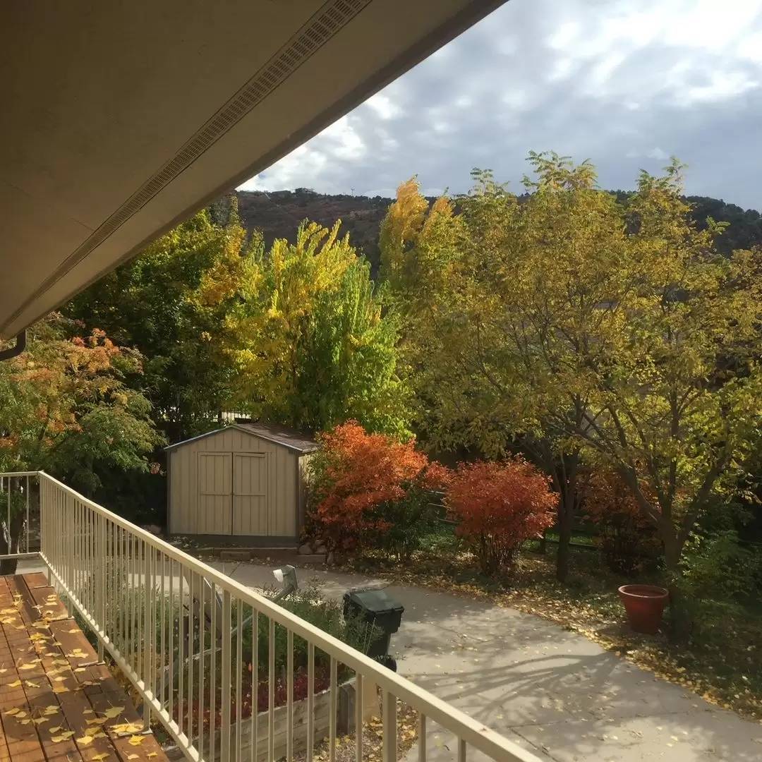 Property Image 33
