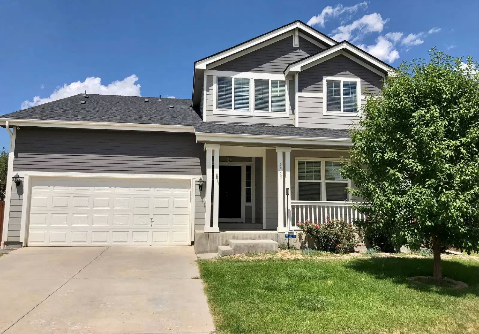 cover background
