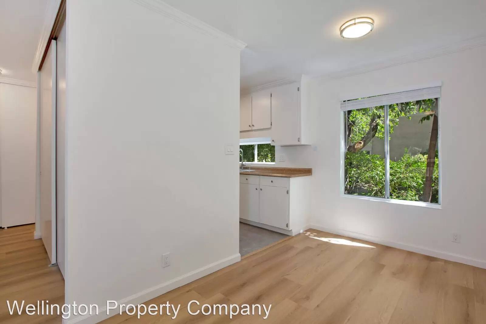 cover background