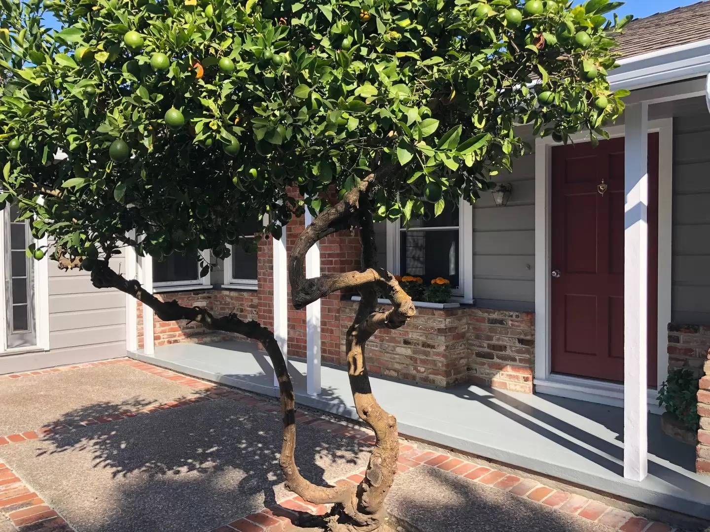 Property Image 6
