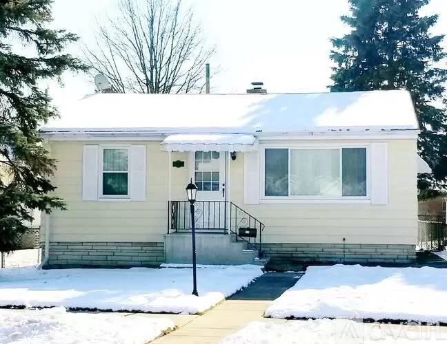 cover background