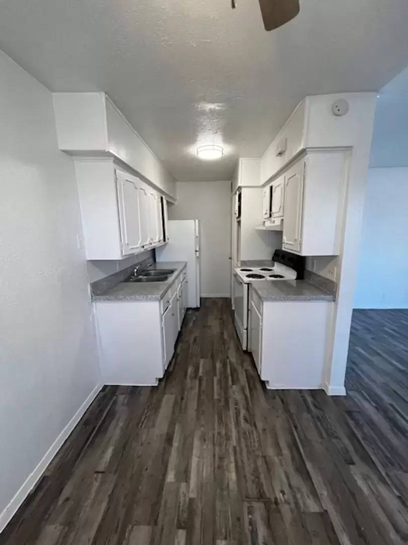 cover background