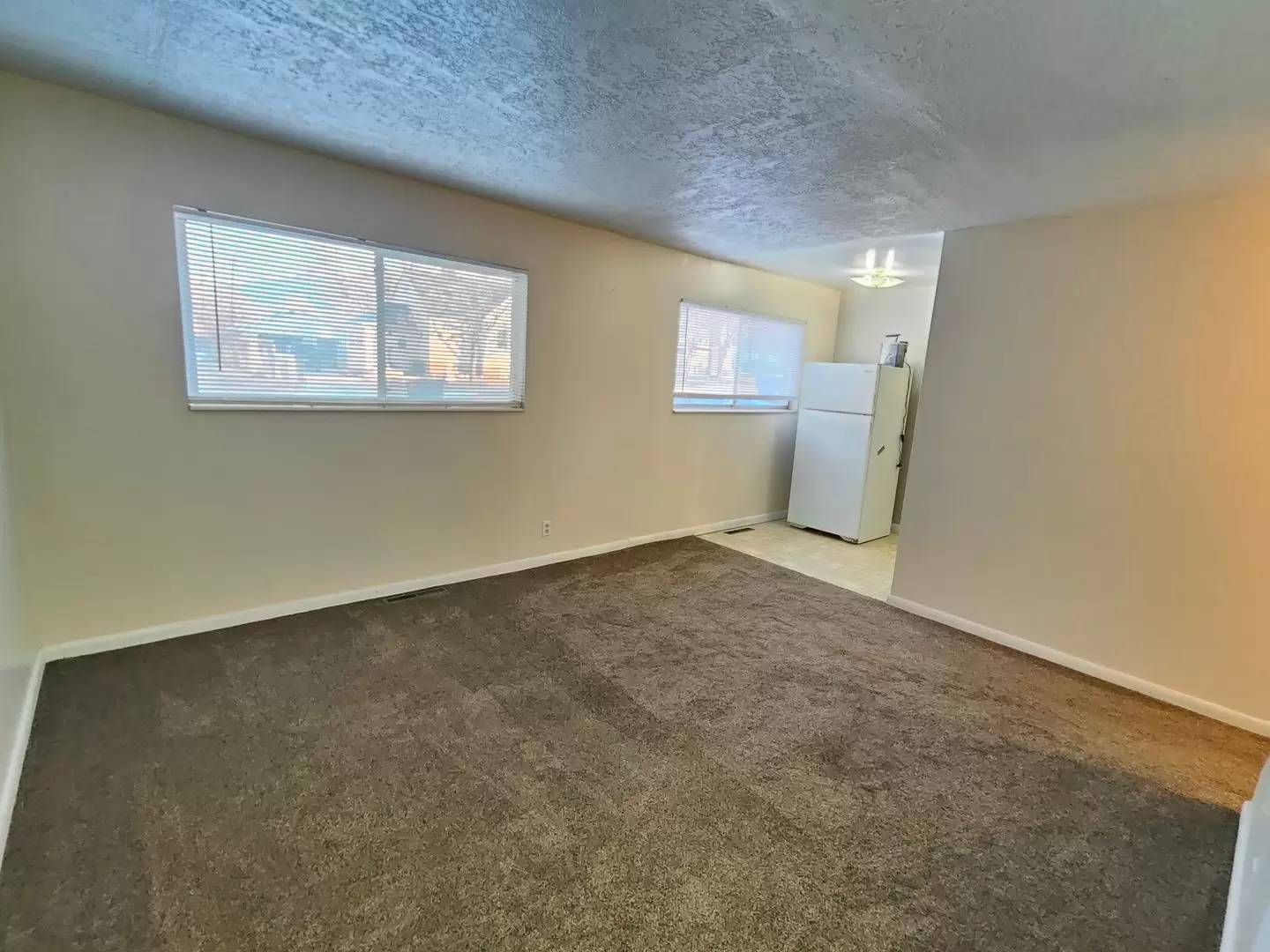 cover background