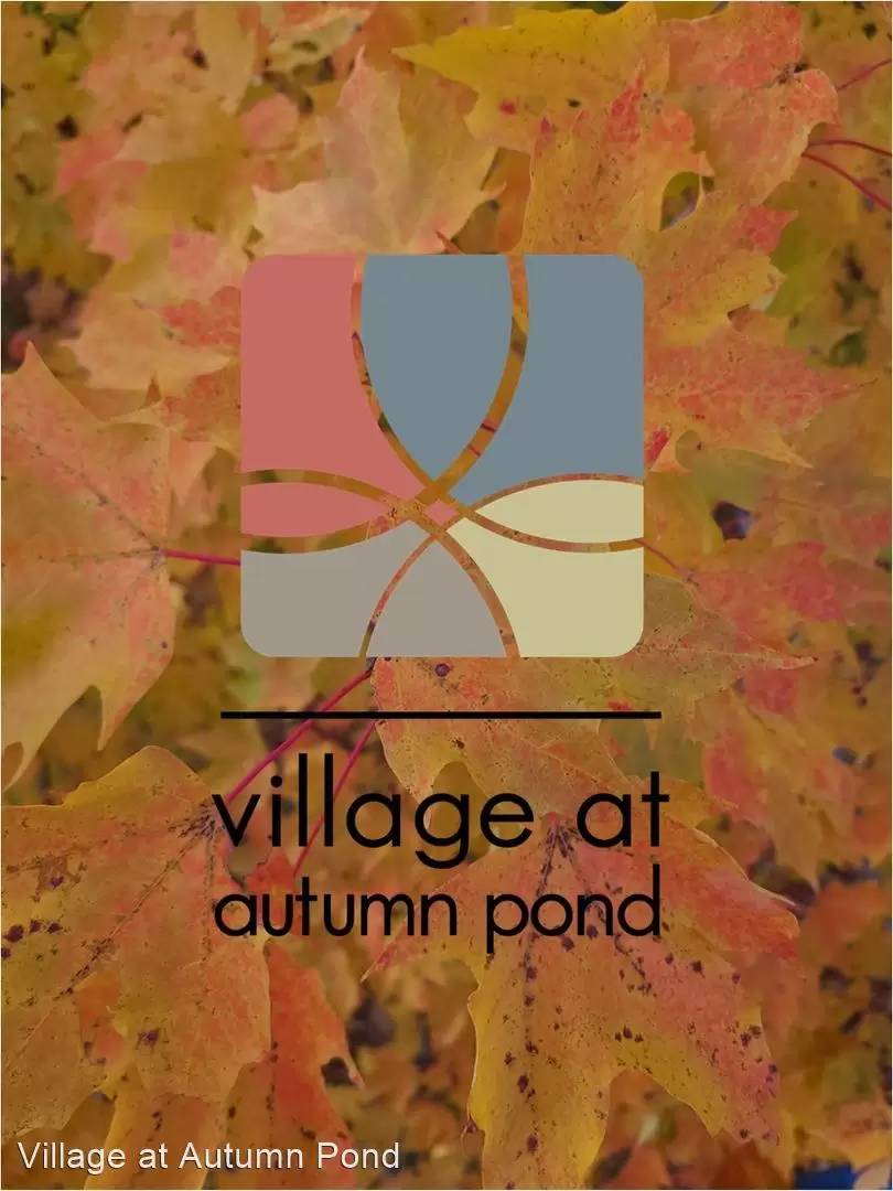 cover background
