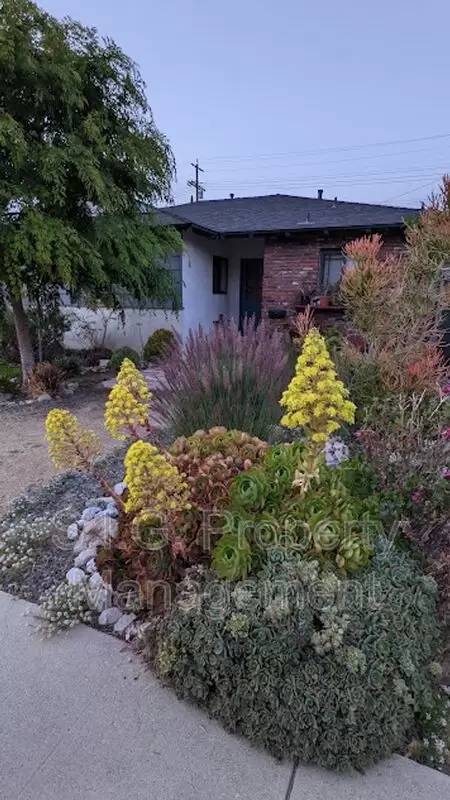 Property Image 68