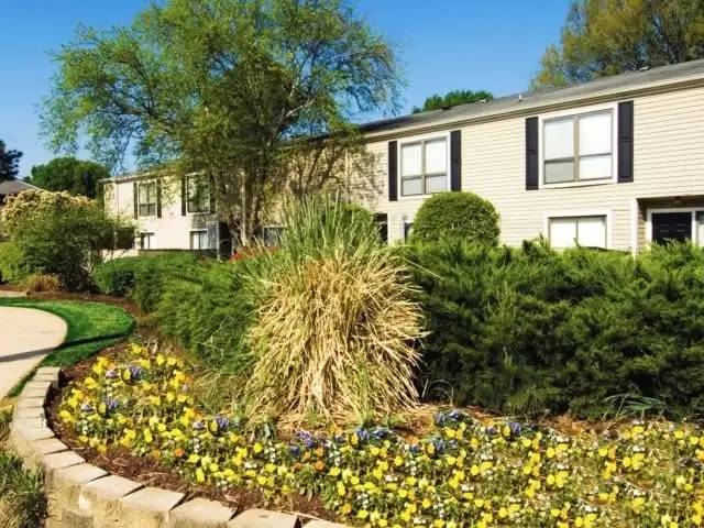 cover background