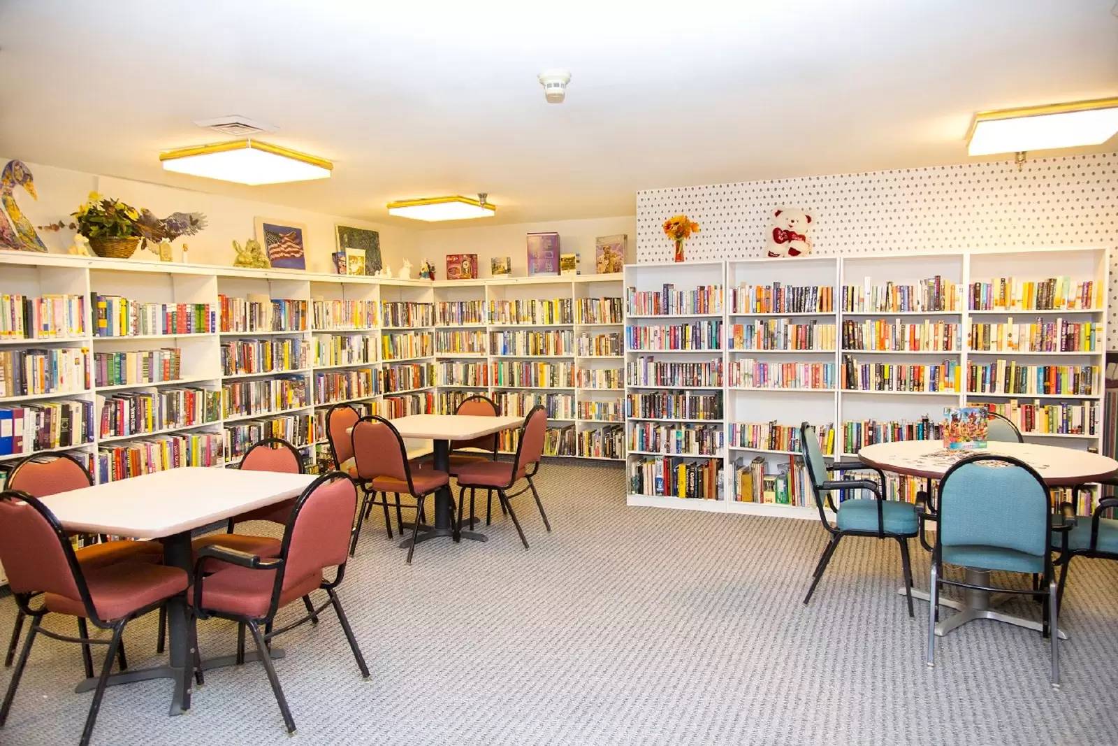 Property Image 13