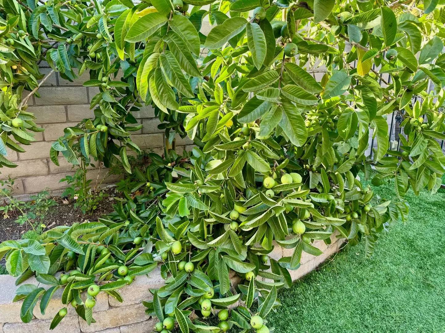 Property Image 59