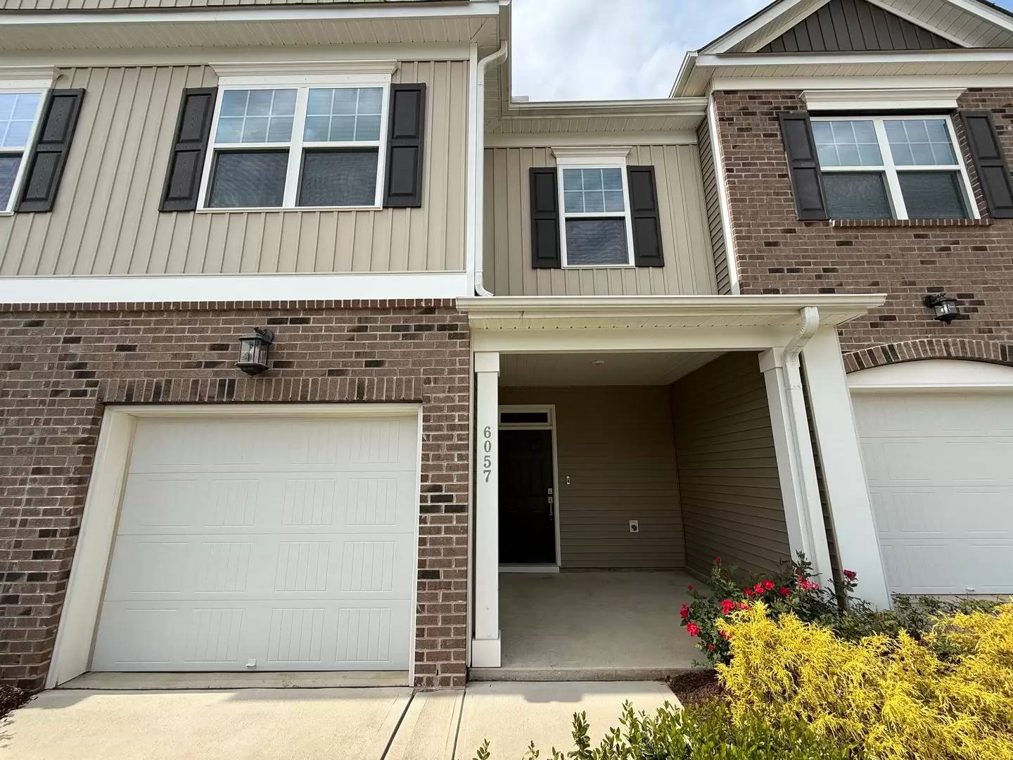cover background