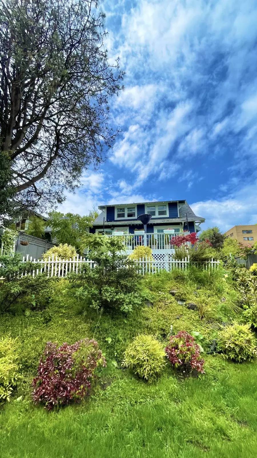 Property Image 49