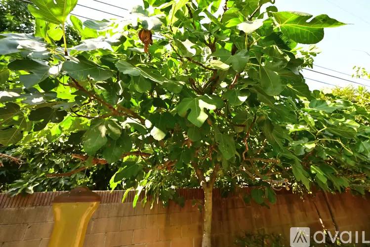 Property Image 77