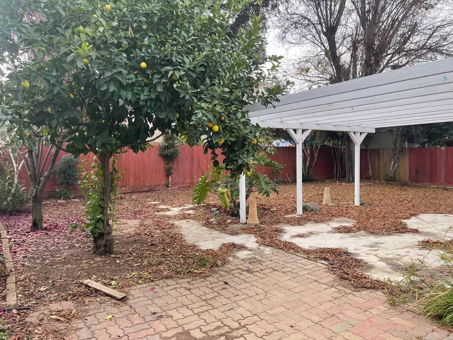 Property Image 45