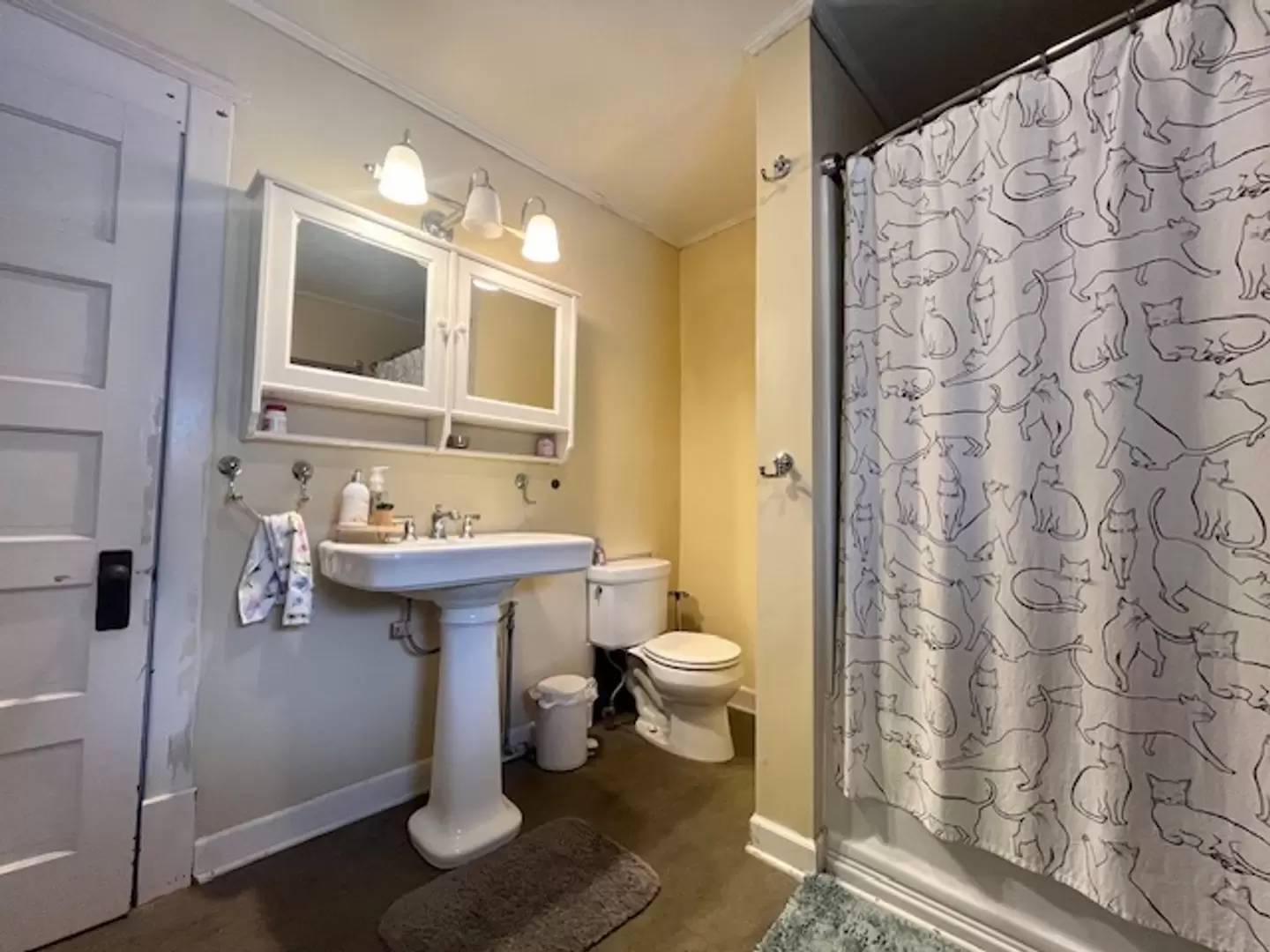 Property Image 8
