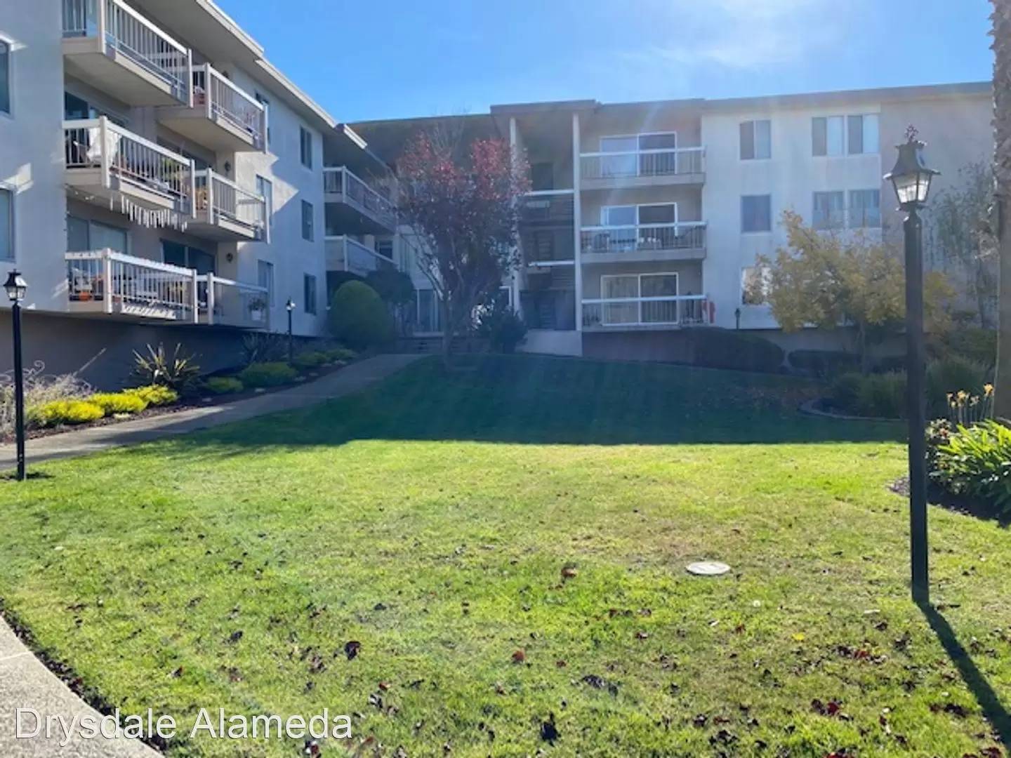 cover background