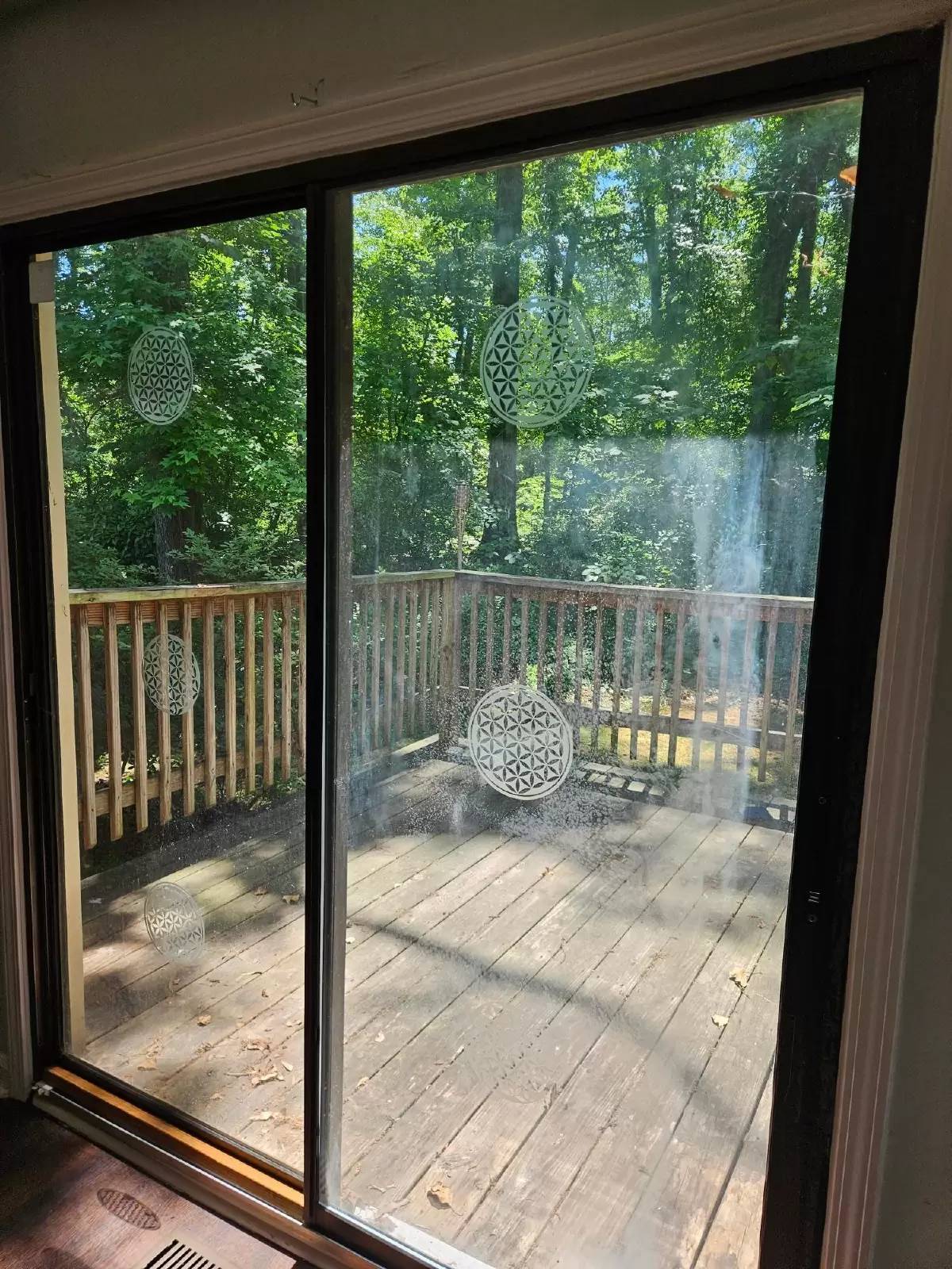 Property Image 36