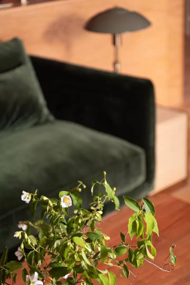 Property Image 128
