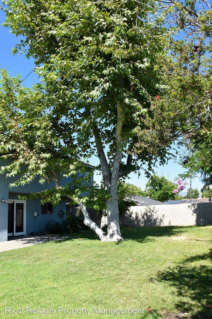 Property Image 65