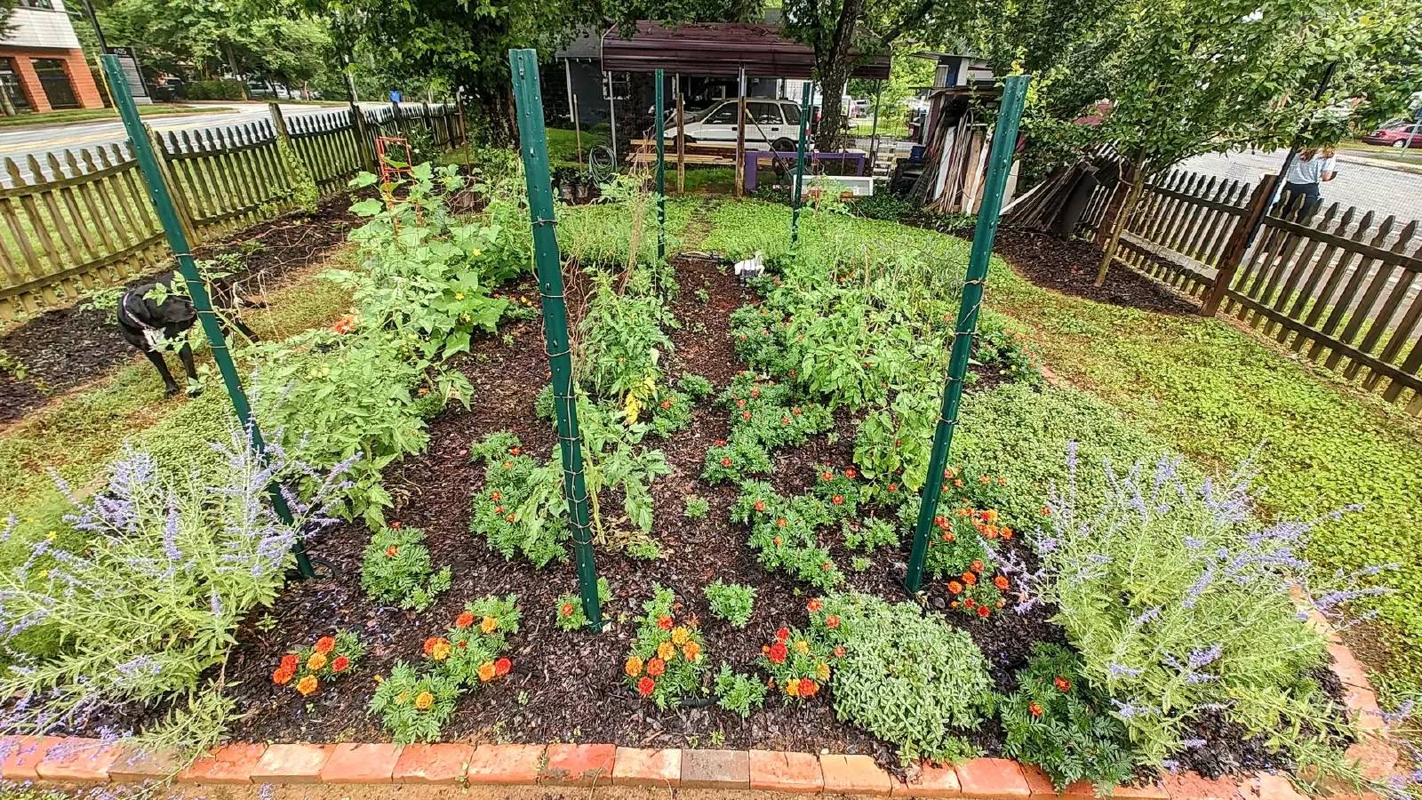 Property Image 18