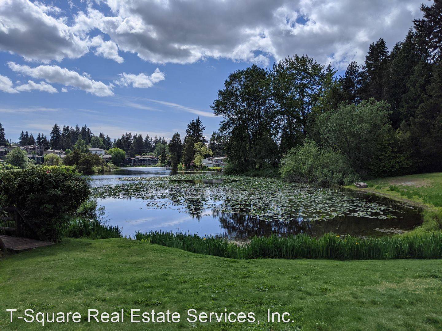 cover background