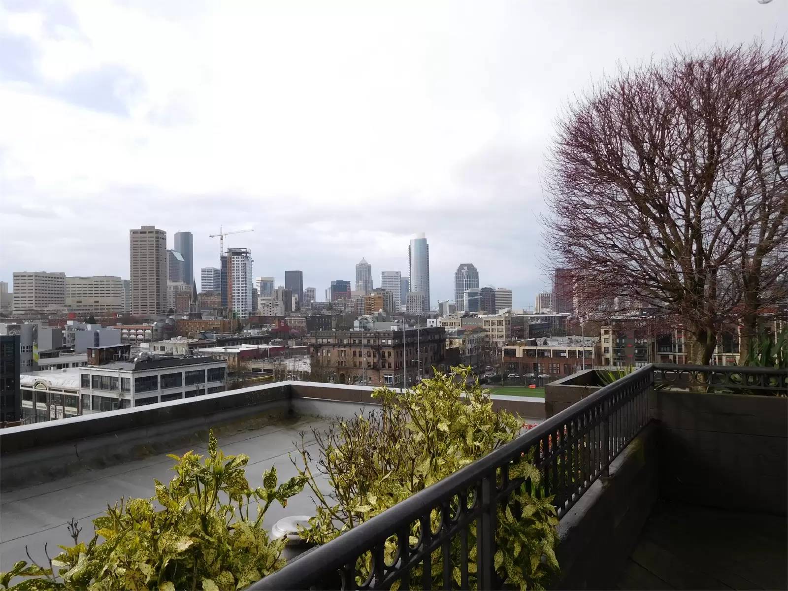 Property Image 20