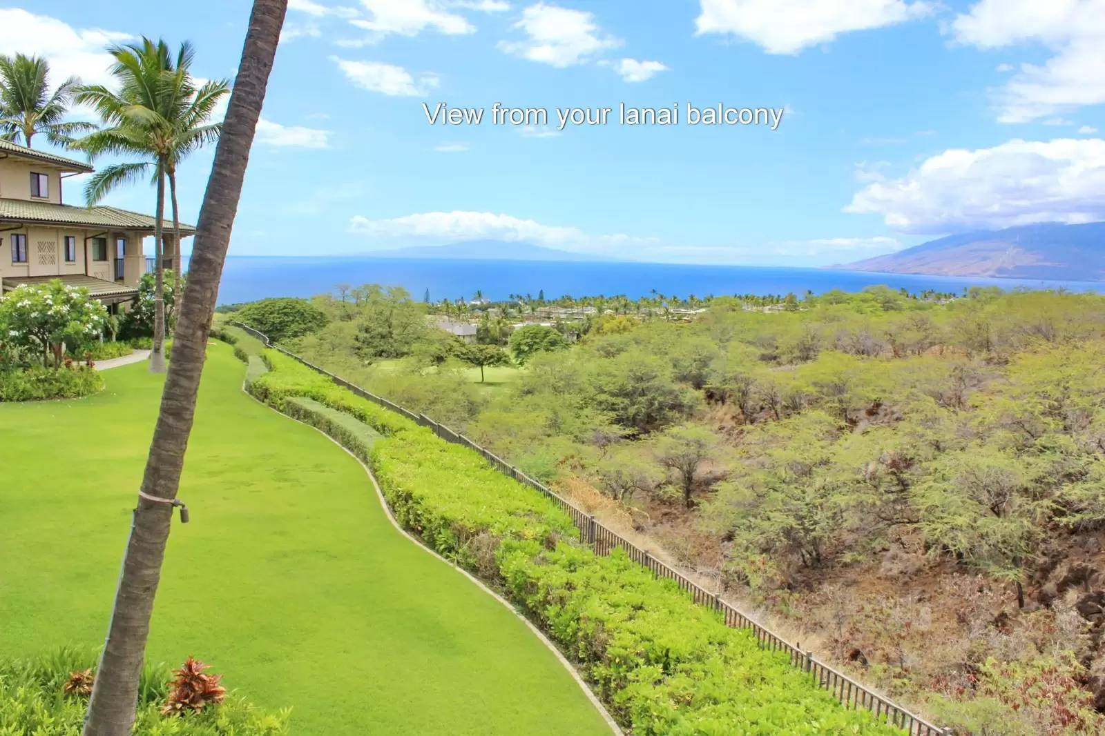 cover background