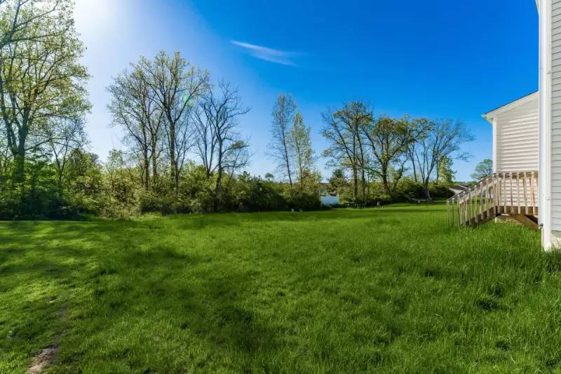 Property Image 54