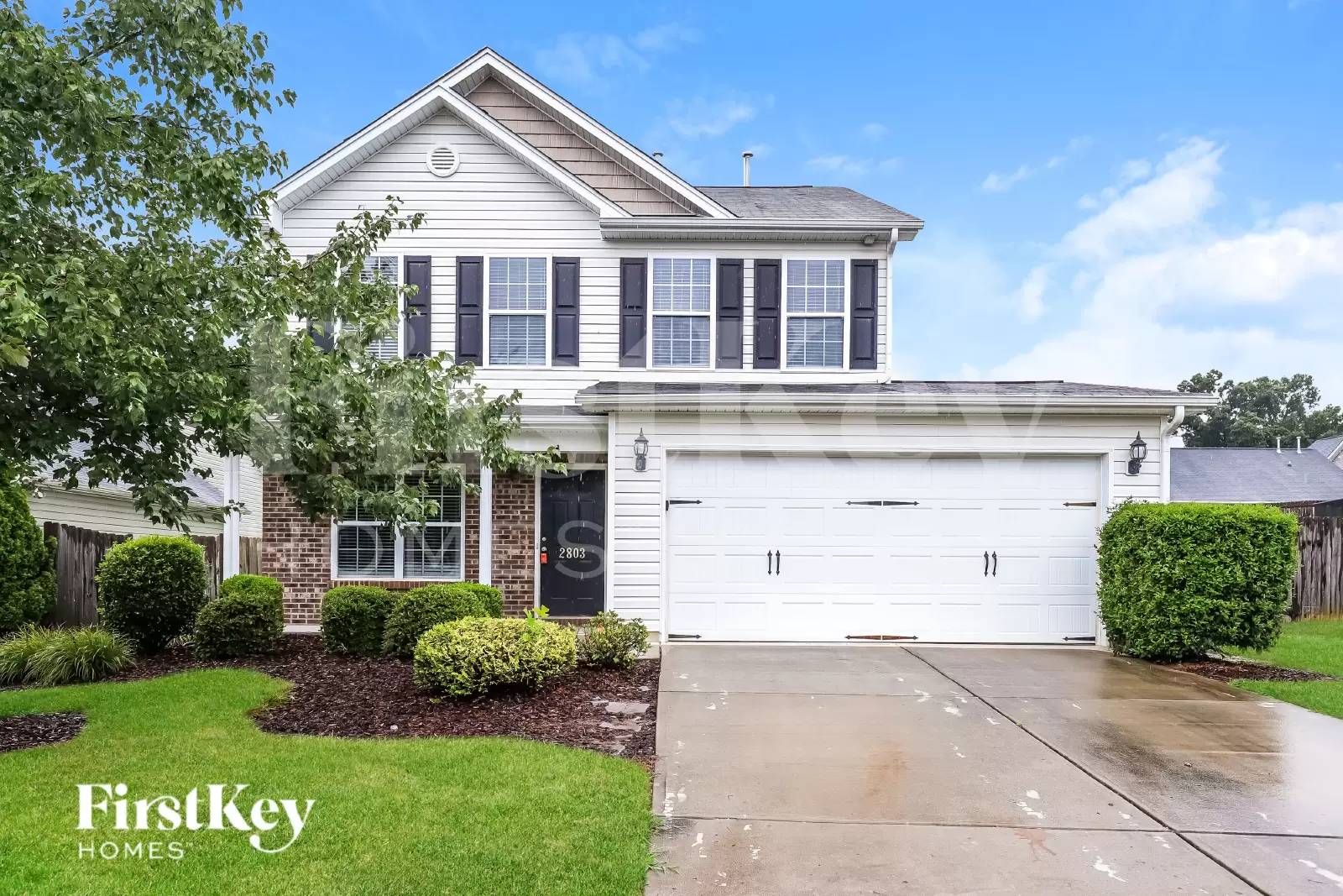 cover background