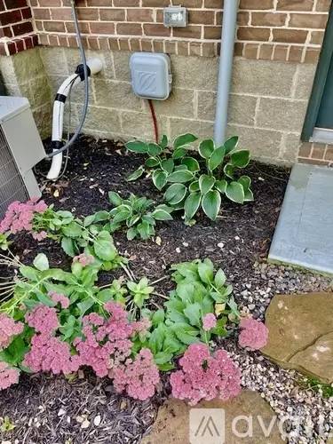 Property Image 58