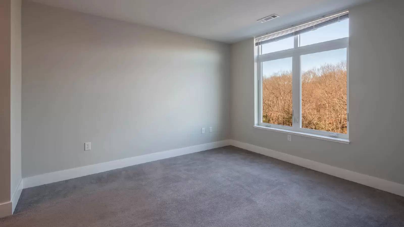 Property Image 88