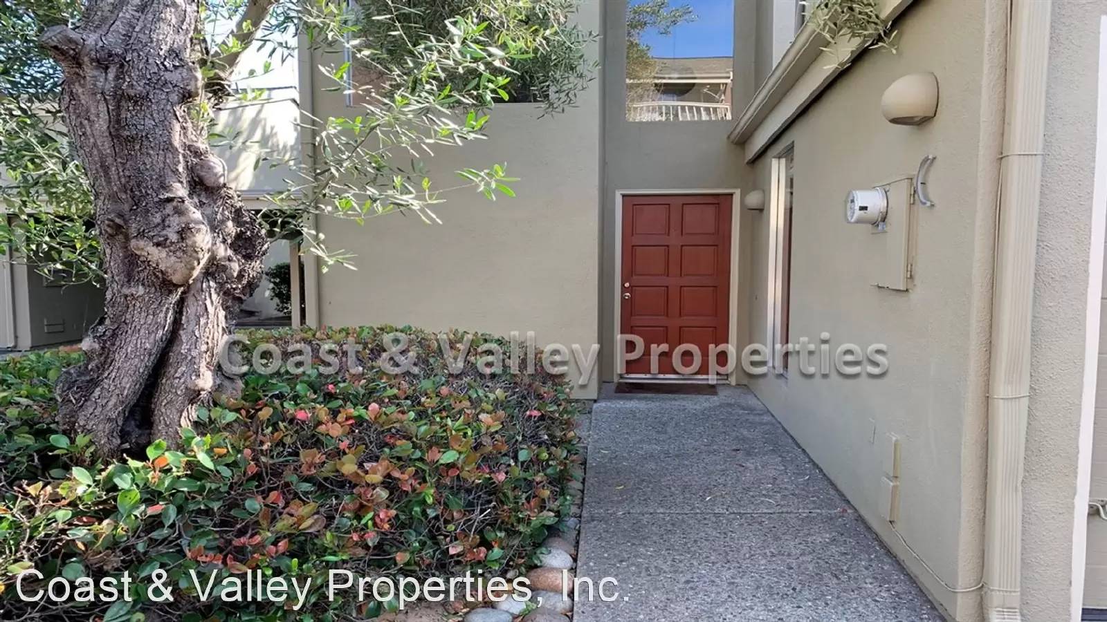 cover background