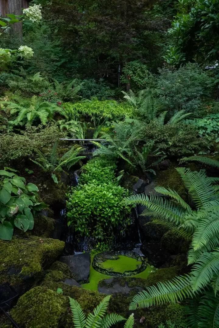 Property Image 68