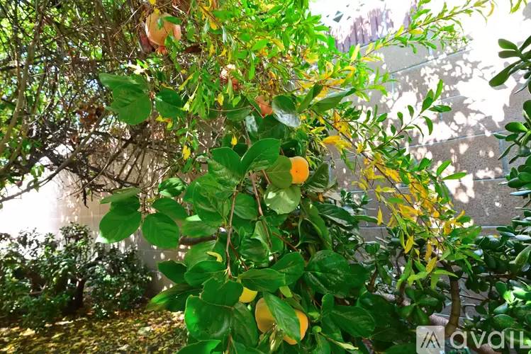 Property Image 65