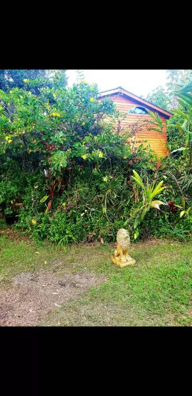 Property Image 64
