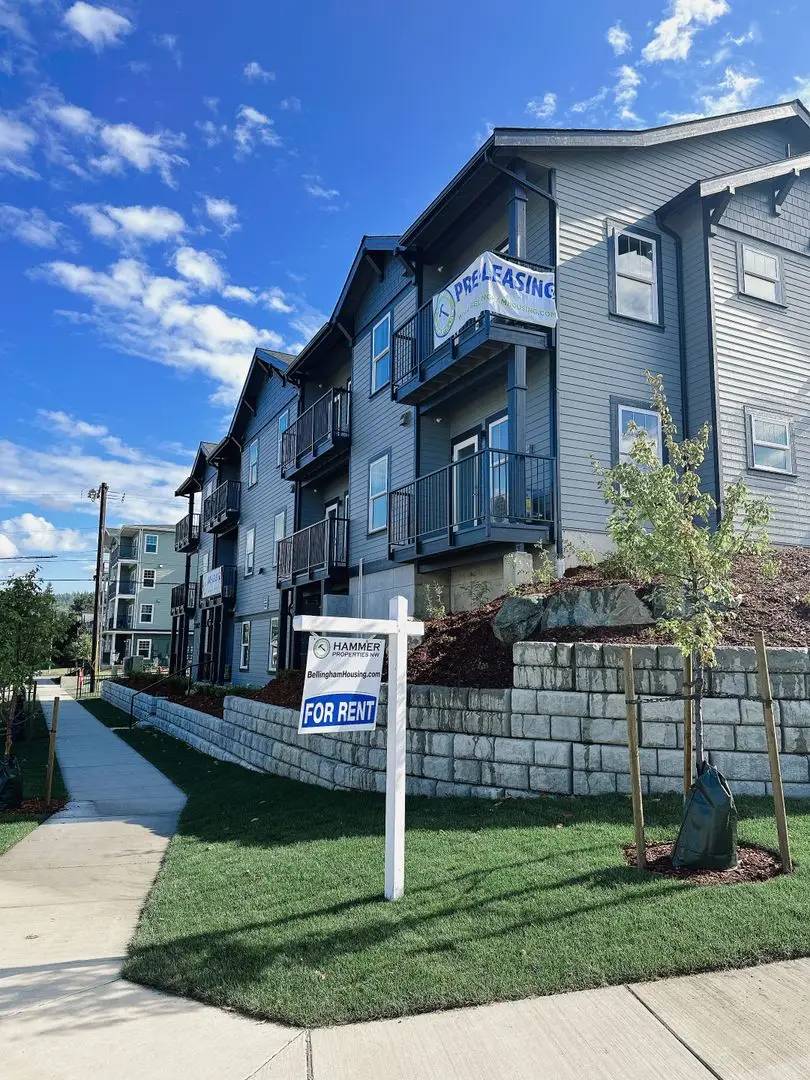 cover background