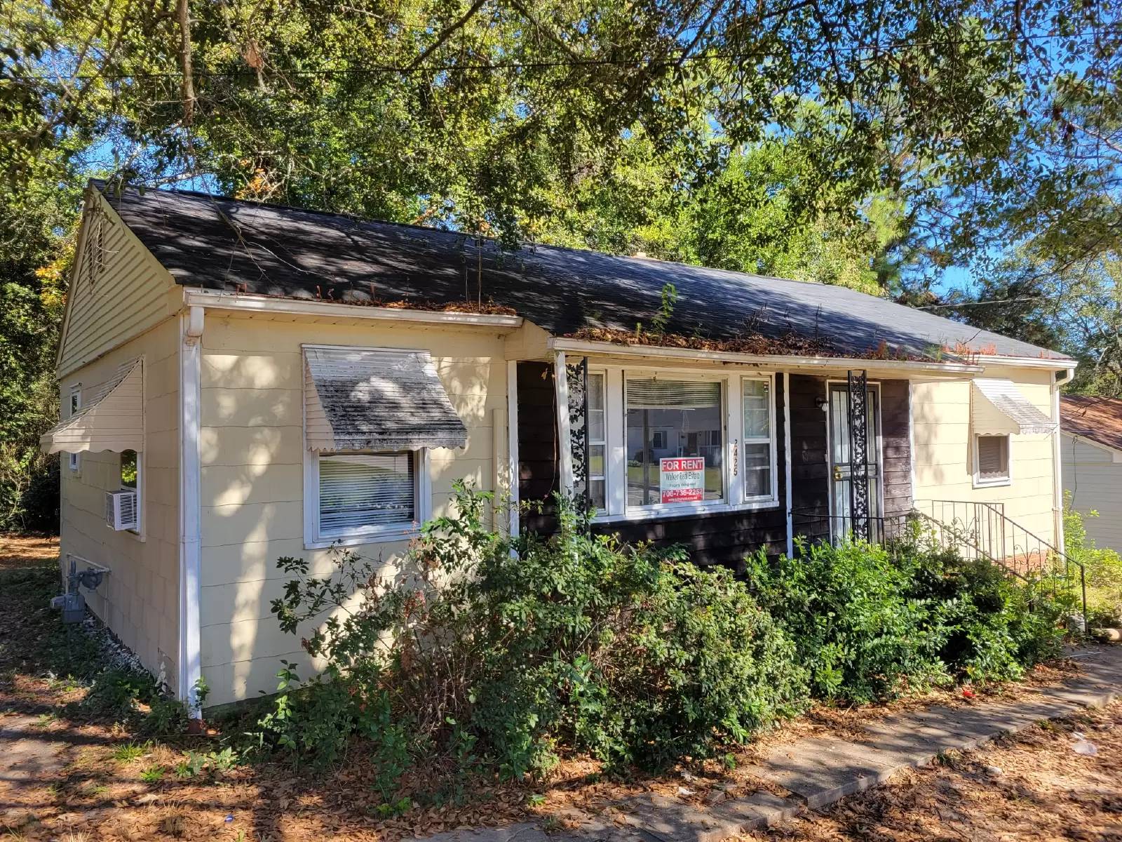 cover background