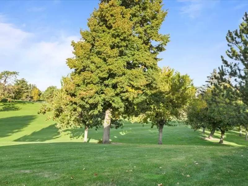 Property Image 60