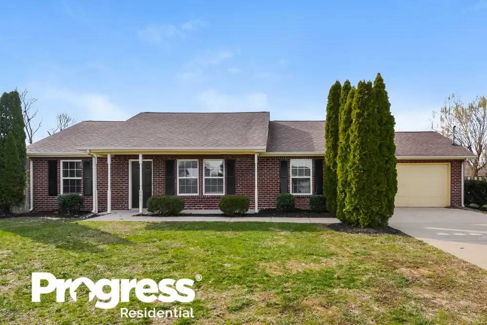cover background
