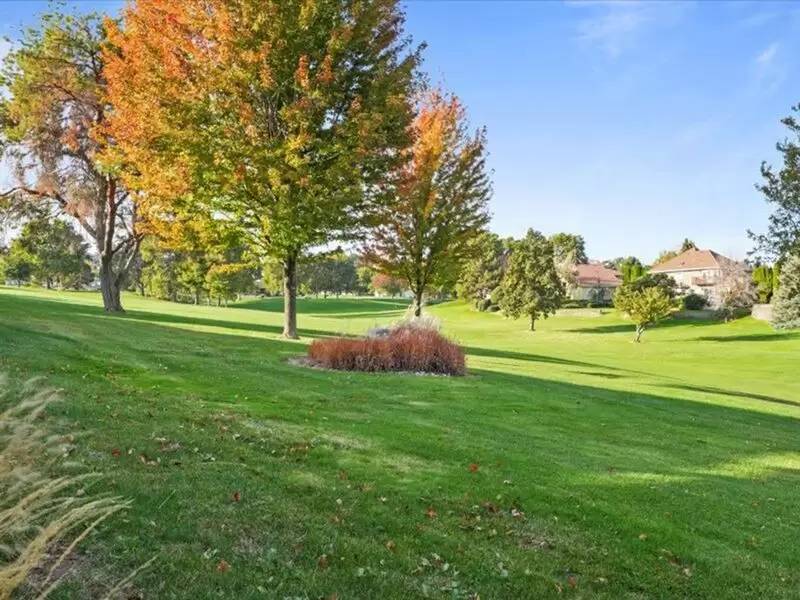 Property Image 58