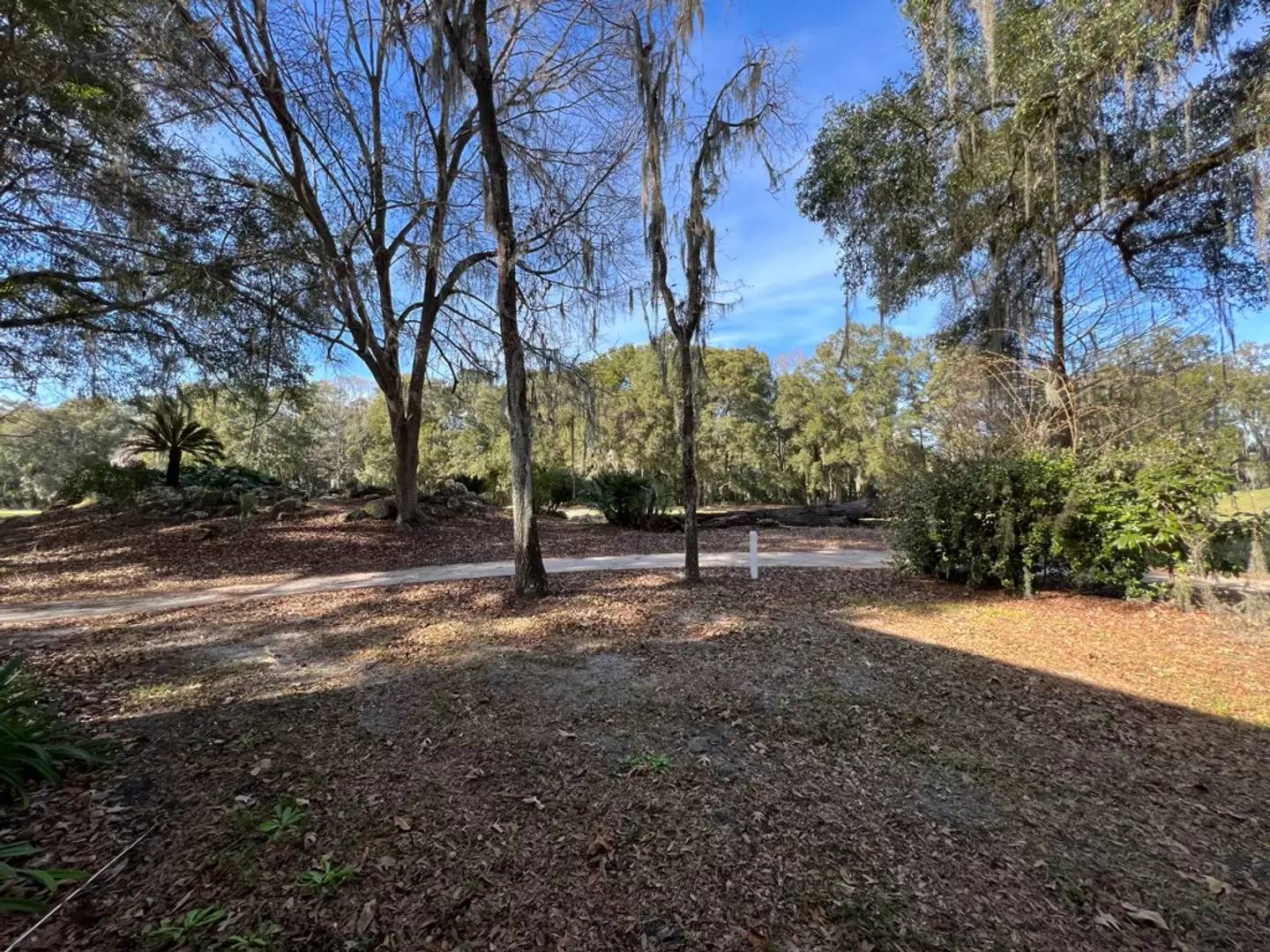 Property Image 62