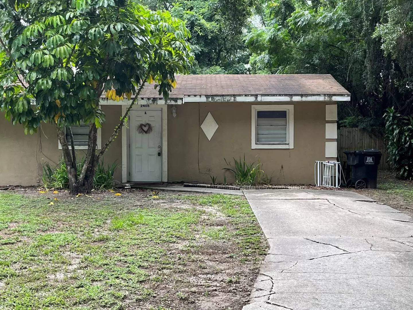 cover background