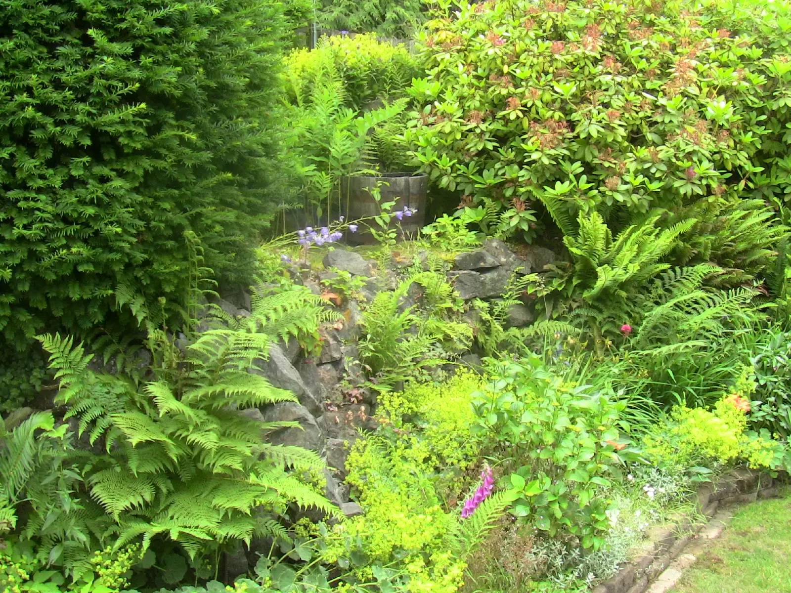 Property Image 26